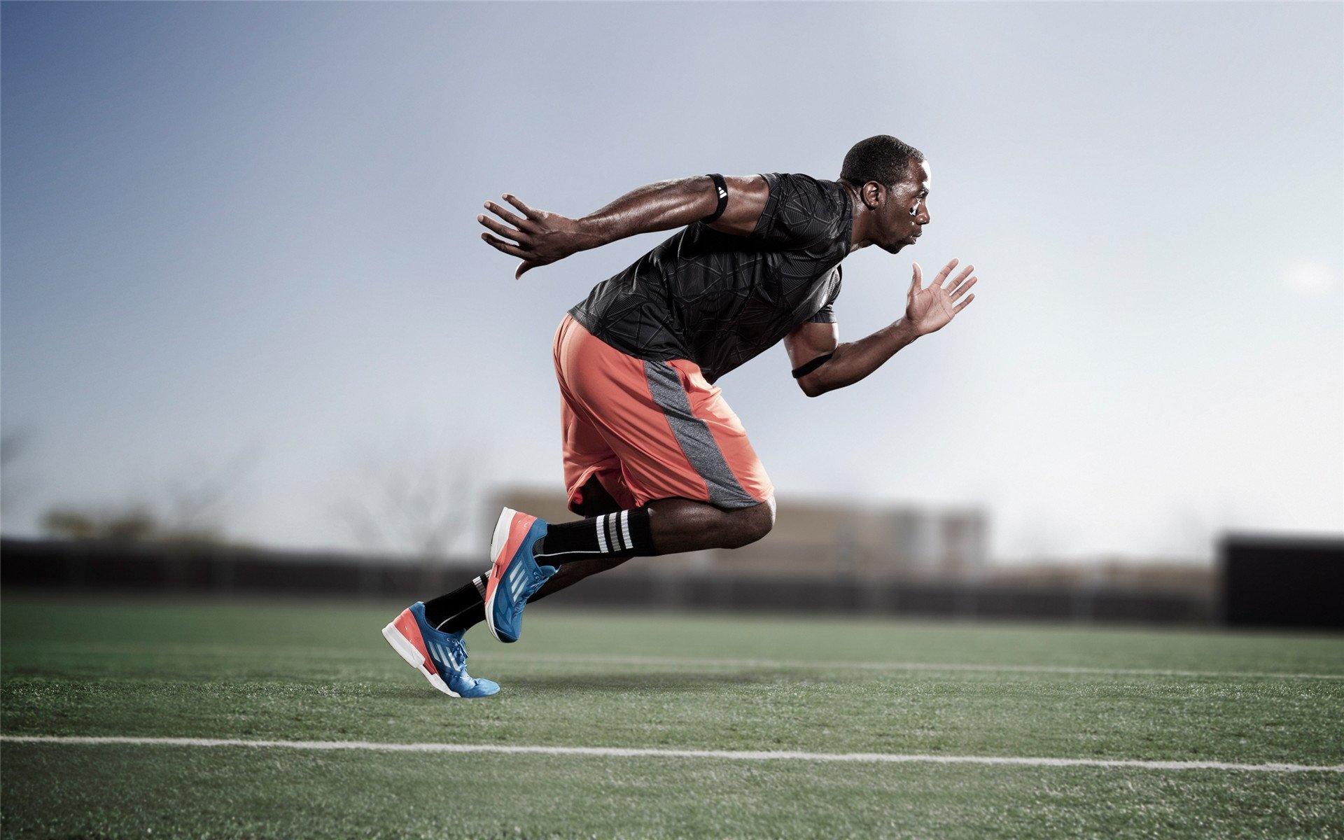 _夜空星光马拉松:在星光中追逐梦想_,星空马场